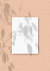 The vertical sheet of white textured A4 paper on the peach wall background. Mockup overlay with the plant shadows. Natural light casts shadows from an exotic plant