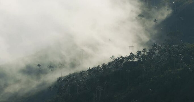 Mountain clouds in the Andes, mist touching the forest, Sierra Nevada de Santa Marta, timelapse, time lapse footage