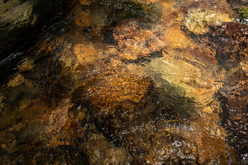 Creek shining in the light 