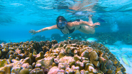 Naklejka na ściany i meble UNDERWATER: Female tourist snorkels around the colorful coral reef in Maldives.