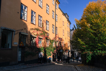 Autumn comes to the city, Stockholm, Sweden.