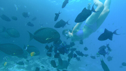 Fototapeta na wymiar UNDERWATER: Young female tourist snorkeling around ocean feeds tropical fish