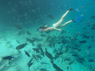 UNDERWATER: Woman snorkels and feeds friendly tropical fish swimming around.