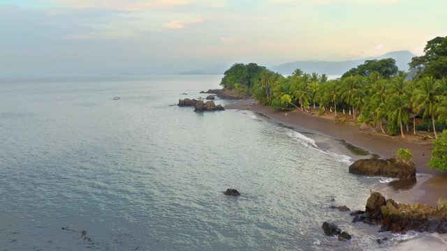 Sandy beach of the Pacific Ocean with palm trees in Choco, Colombia, near Nuqui, drone aerial view above the sore
