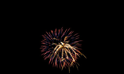 Fototapeta premium Sparkle Fireworks in Night Sky