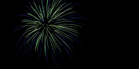 Sparkle Fireworks in Night Sky