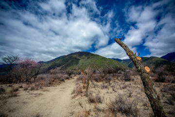 old wooden fence