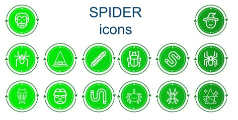 Editable 14 spider icons for web and mobile