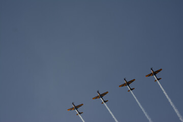 Esquadrilha da Fumaça - Força Aérea Brasileira