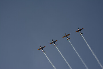 Esquadrilha da Fumaça - Força Aérea Brasileira