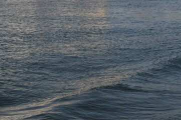 Obraz premium small wave in the sea