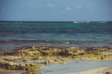 Akumal is one of the most peaceful places in the Riviera Maya, one protected shallow bay with a secluded beach and a nearby reef,  fascinating tourists from around the world