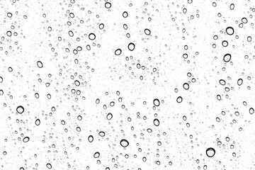 Water rain drops or water drops on white background, Water bubbles underwater background, water drops on glass