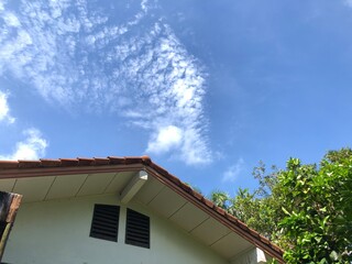 the blue sky is on the morning