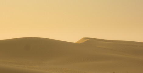 Fototapeta na wymiar sand dunes in sahara at sunset