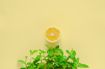 Creative minimal summer background of grass that made from green mint leaves and sun from slice...