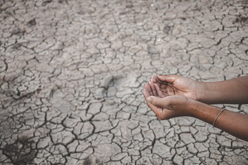 The little boy waiting for drinking water to live through this drought, Concept drought and crisis environment.