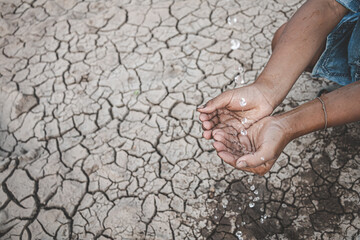The little boy waiting for drinking water to live through this drought, Concept drought and crisis environment.