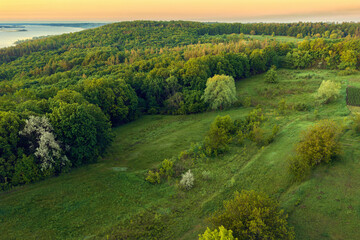 Aerial view green forests at dawn