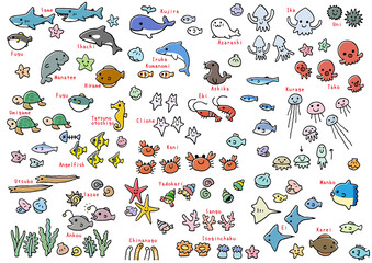 Fototapeta premium 夏の海のイラスト３