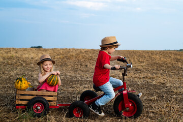 Funny people. Happy children farmers having fun on spring field. Ecology concept child. Happy...