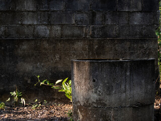 Fototapeta premium The old water well is int my home 