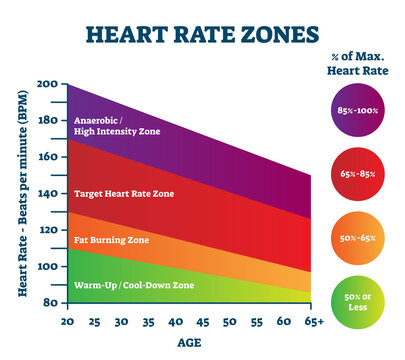 Heart rate zones vector illustration. Pulse intensity educational scheme.