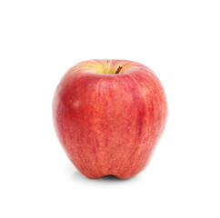 Red ripe apple
