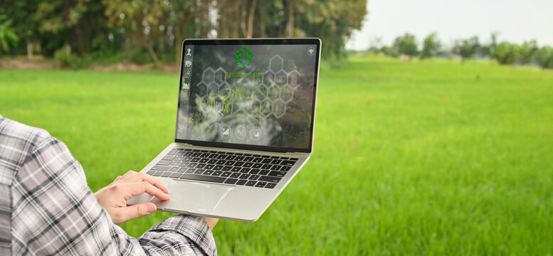 Cropped image of young smart farmer holding a computer laptop with visual icon on screen over rice field as background. Agriculture technology concept.