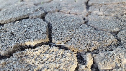 The land is dry and lacking water.