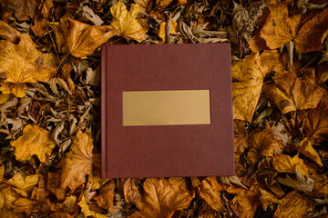 Leather brown book with a gold nameplate on a background of brown leaves. Place for text. .Wedding photo book.