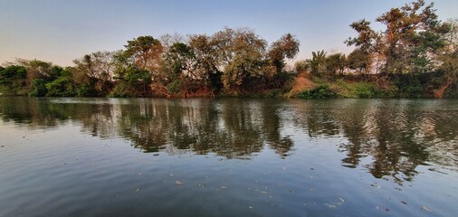 reflection of trees in water