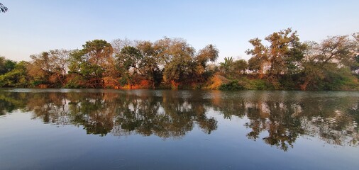 reflection of trees in water