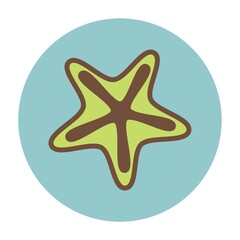 Obraz premium Starfish