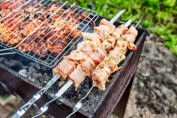 The meat is grilled in a barbecue on the nature. Close-up. Outdoor activities and healthy eating.