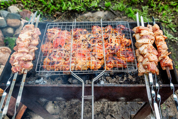 The meat is grilled in a barbecue on the nature. Close-up. Outdoor activities and healthy eating.