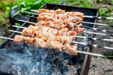 The meat is grilled in a barbecue on the nature. Close-up. Outdoor activities and healthy eating.