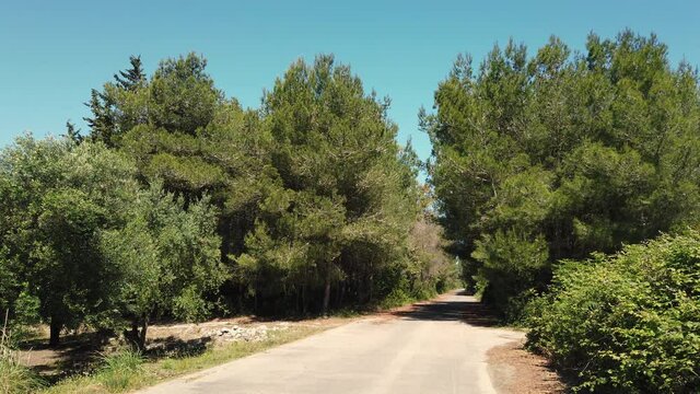 Sentiero in mezzo alla natura