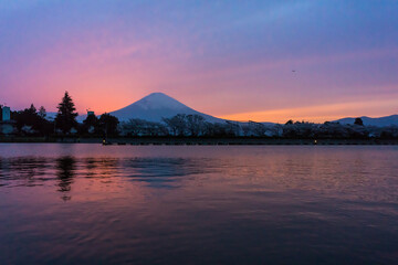 春の富士山(４月)