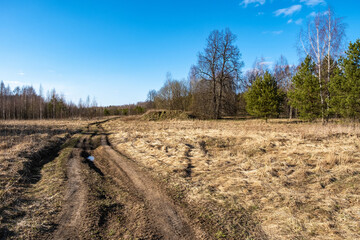 A rural dirt road running through a field into a forest.