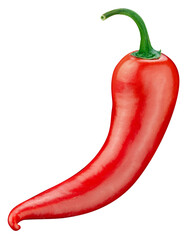 Hot pepper with clipping path