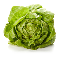 Butter Lettuce Isolated on White Background