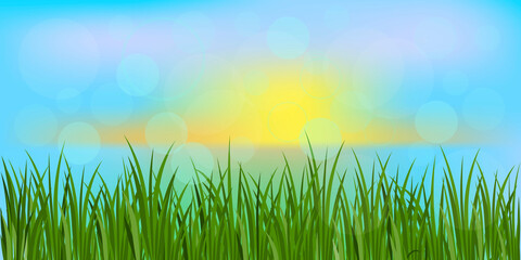 Fototapeta na wymiar Background from green grass, blue sunny sky. Vector image of a summer field.