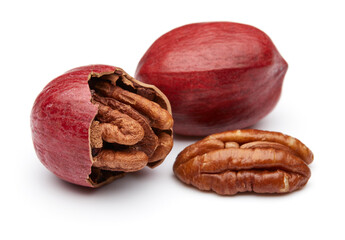 Pecan Isolated on White Background