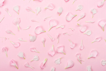 Beautiful delicate rose petals on a trendy pastel pink background. Beauty backdrop. Gentle holiday template, greeting card, natural pattern. Top view. Flat lay, layout.