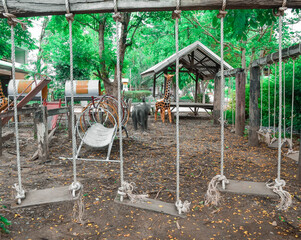 Fototapeta na wymiar Swings are set in a playground and green trees.