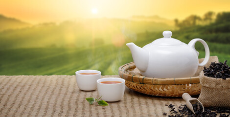 Warm cup of tea with teapot, green tea leaves and dried herbs at morning in plantations with panorama background empty space for text, Organic product from the nature for healthy with traditional