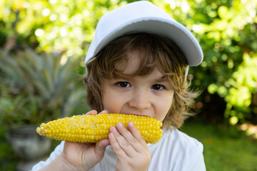 Child in the garden, corn - lovely boy eating corn on the cob in the garden. Portrait of a cute boy...