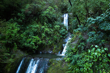 Waterfall in forest. Waterfall nature landscape. Fresh lush green tropical trees foliage.