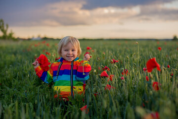 Sweet child, blond boy, playing in poppy field on a partly cloudy day, dramatic sky